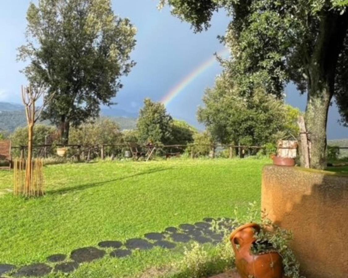 Aurora 2-Bed Cottage - Sleeps 4 - Montseny Park アルブシエス エクステリア 写真